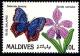 Colnect-2371-658-Blue-Salamis-Butterfly-Salamis-temora-Blue-Orchid-Vanda-.jpg