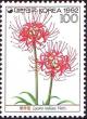 Colnect-2744-465-Lycoris-radiata.jpg