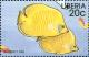 Colnect-3977-605-Addis-Butterflyfish-Chaetodon-semilarvatus.jpg