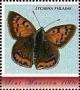 Colnect-5965-114-Lycaena-phlaeas.jpg