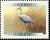 Colnect-1546-249-Sandhill-Crane-Grus-canadensis.jpg