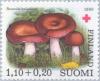 Colnect-159-763-Apfelt-auml-ubling-Russula-paludosa.jpg