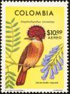 Colnect-2504-980-Amazonian-Royal-Flycatcher-Jacarandia-copaia.jpg