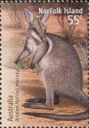 Colnect-2761-451-Bridled-Nailtail-Wallaby-Onychogalea-fraenata.jpg