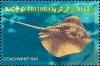 Colnect-3531-334-Ribbontail-Stingray-Taeniura-lymna.jpg