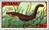 Colnect-3726-771-Electric-Eel-Electrophorus-electricus.jpg