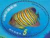 Colnect-4702-183-Royal-empress-angelfish.jpg