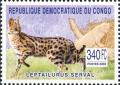 Colnect-2624-459-Serval-Leptailurus-serval.jpg