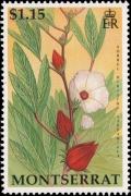 Colnect-2757-365-Sorrel-Hibiscus-sabdariffa.jpg