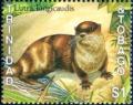 Colnect-3115-566-Neotropical-Otter-Lutra-longicaudis.jpg