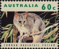 Colnect-3952-695-Common-Brushtail-Possum-Trichosurus-vulpecula.jpg