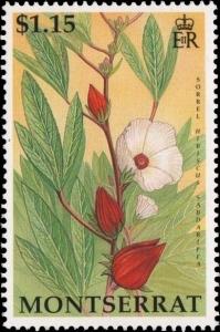 Colnect-2757-365-Sorrel-Hibiscus-sabdariffa.jpg