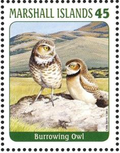 Colnect-3671-486-Burrowing-Owl%C2%A0%C2%A0%C2%A0%C2%A0Athene-cunicularia.jpg