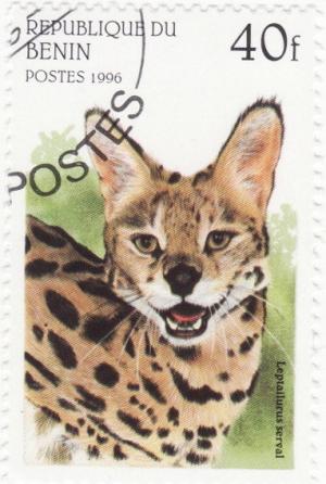 Colnect-1080-152-Serval-Leptailurus-Serval.jpg