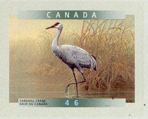 Colnect-1248-061-Sandhill-Crane-Grus-canadensis.jpg