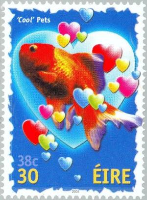 Colnect-129-787-Cool-Pets---Goldfish.jpg