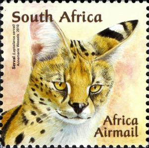 Colnect-1390-982-Serval-Leptailurus-serval.jpg