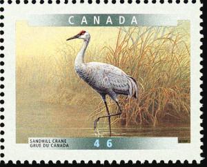 Colnect-1546-249-Sandhill-Crane-Grus-canadensis.jpg