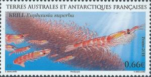 Colnect-2953-246-Krill-Euphausia-superba.jpg