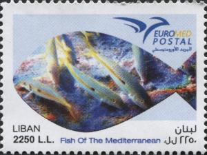 Colnect-3536-872-EuroMed-Postal---Fish-of-the-Mediterranean.jpg