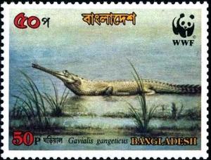 Colnect-3999-048-Gharial-Gavialis-gangeticus.jpg