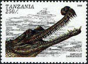 Colnect-4311-939-Gharial-Gavialis-gangeticus.jpg