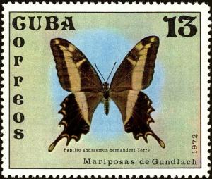 Colnect-4828-610-Bahaman-Swallowtail-Papilo-andraemon-ssp-hernandezi.jpg