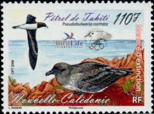 Colnect-858-885-Tahiti-Petrel-Pseudobulweria-rostrata-.jpg