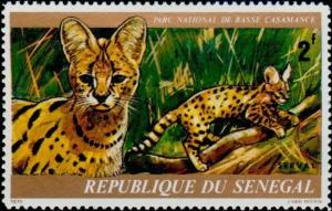 Colnect-897-892-Serval-Leptailurus-serval.jpg