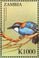 Colnect-3507-668-Chestnut-backed-Jewel-babbler%C2%A0-%C2%A0Ptilorrhoa-castanonota.jpg