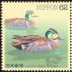 Colnect-608-824-Baikal-Teal%C2%A0Anas-formosa.jpg