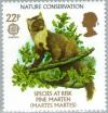 Colnect-122-459-Pine-Marten-Martes-martes.jpg