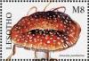 Colnect-1736-212-Amanita-pantherina.jpg