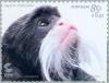 Colnect-182-528-Emperor-Tamarin-Saguinus-imperator.jpg