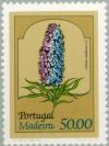 Colnect-185-806-Pride-of-Madeira-Echium-candicans.jpg