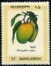 Colnect-2878-344-Mangifera-indica.jpg