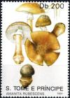 Colnect-2954-807-Amanita-rubescens.jpg