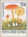 Colnect-3128-790-Amanita-hemibapha.jpg