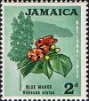 Colnect-3662-677-Blue-mahoe---National-Tree.jpg