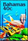 Colnect-4131-907-Tomate-squirrelfish.jpg