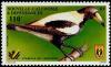 Colnect-854-507-Australian-Magpie-Gymnorhina-tibicen-.jpg