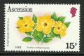 Colnect-1297-575-Yellow-Allamanda-Allamanda-cathartica.jpg