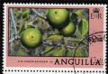 Colnect-1584-352-Manchineel-fruit.jpg