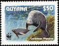 Colnect-1664-187-Caribbean-Manatee-Trichechus-manatus.jpg