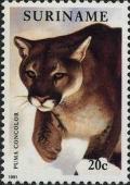 Colnect-2008-606-Puma-Felis-concolor.jpg