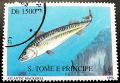 Colnect-2493-435-Atlantic-Mackerel-Scomber-scombrus.jpg