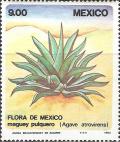 Colnect-2927-896-Maguey-Pulquero.jpg