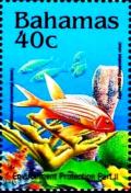 Colnect-4131-907-Tomate-squirrelfish.jpg