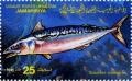 Colnect-4555-973-Atlantic-Mackerel-Scomber-scombrus.jpg