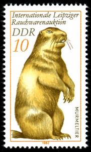 Colnect-1981-823-Bobac-Marmot-Marmota-bobac-.jpg